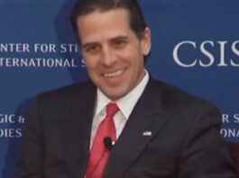 Hunter Biden's net worth
