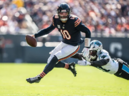 Bears quarterback Caleb Williams has his finest game yet in a 36-10 victory over the Panthers.