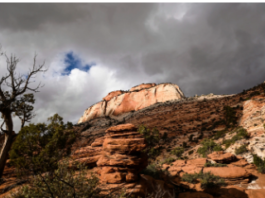 A man dies in Utah's Zion National Park while canyoneering